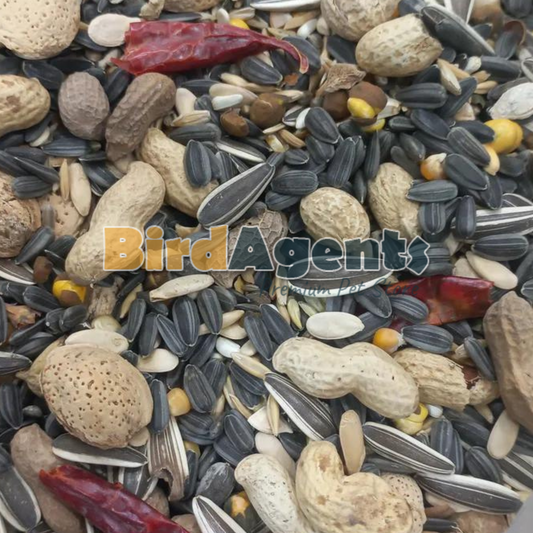 Seed Mix For Large Parrots – Premium Seed Blend