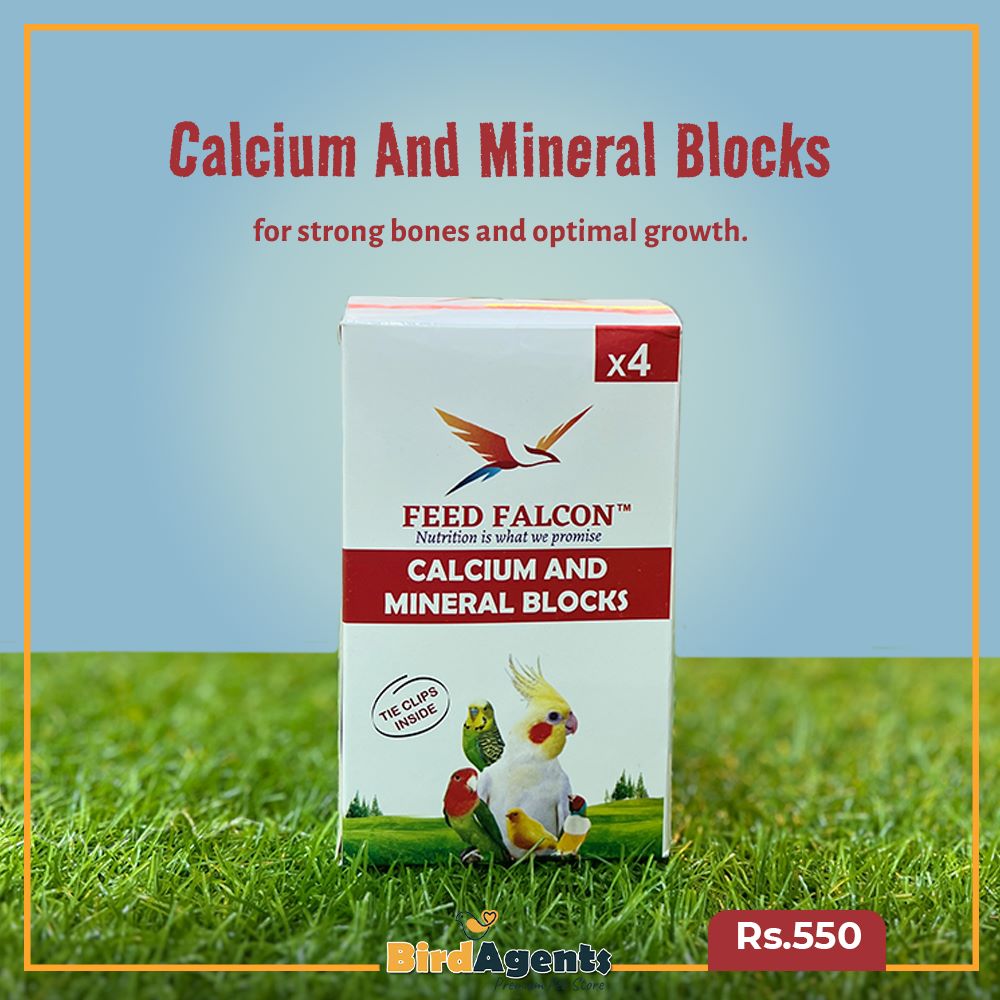 Calcium and Mineral Blocks - Pack of 4 Blocks