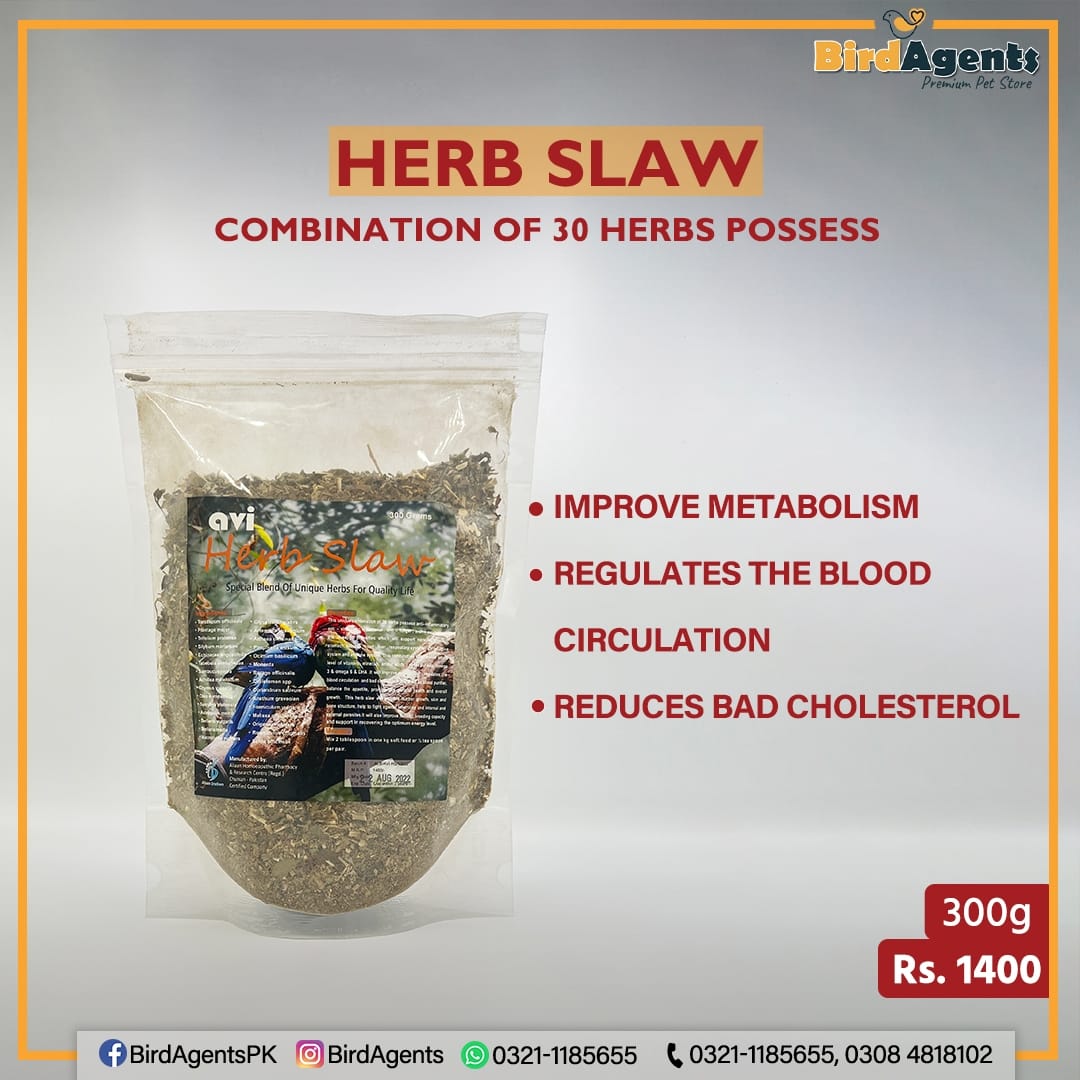 Avi Herb Slaw - Combination Of 30 Herbs Possess