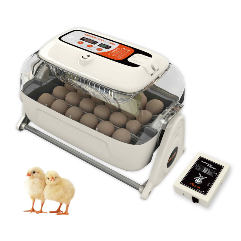 Rcom Kingsuro Max 20 Egg Incubator - High Performance incubator