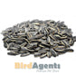 Sunflower Seed Irani - Premium Striped Sunflower Seed 900g