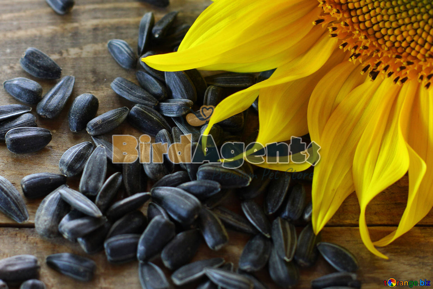 Sunflower Seeds - A High Energy Nutritious Blend 950g