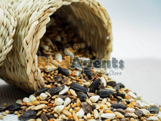Seed Mix For Parakeets - Premium Seed Blend