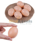 Dummy Eggs For Hens - Manage Hen's Laying Habits