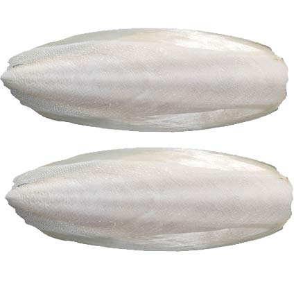 Cuttlefish Bone Pieces – Natural Calcium Source for Birds
