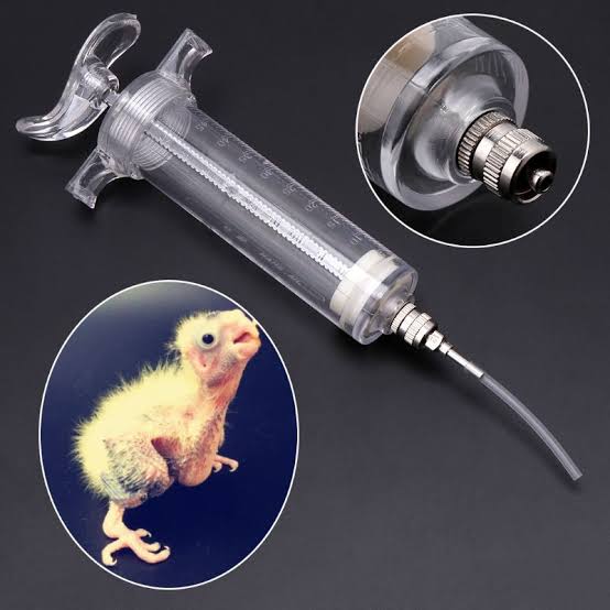 Hand feeding hot sale syringe