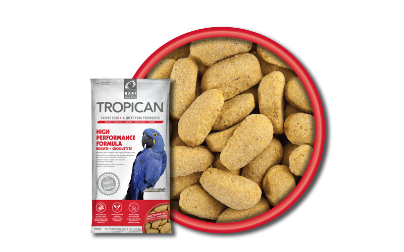 High Performance Formula for Parrots, Biscuits