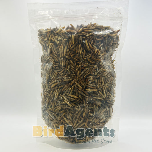 Avi Wonder Grubs - Dried BS Fly Larvea For Birds